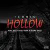Iconic - Hollow (feat. Fuzzy Soul Tiger & Seany-Doo) - Single